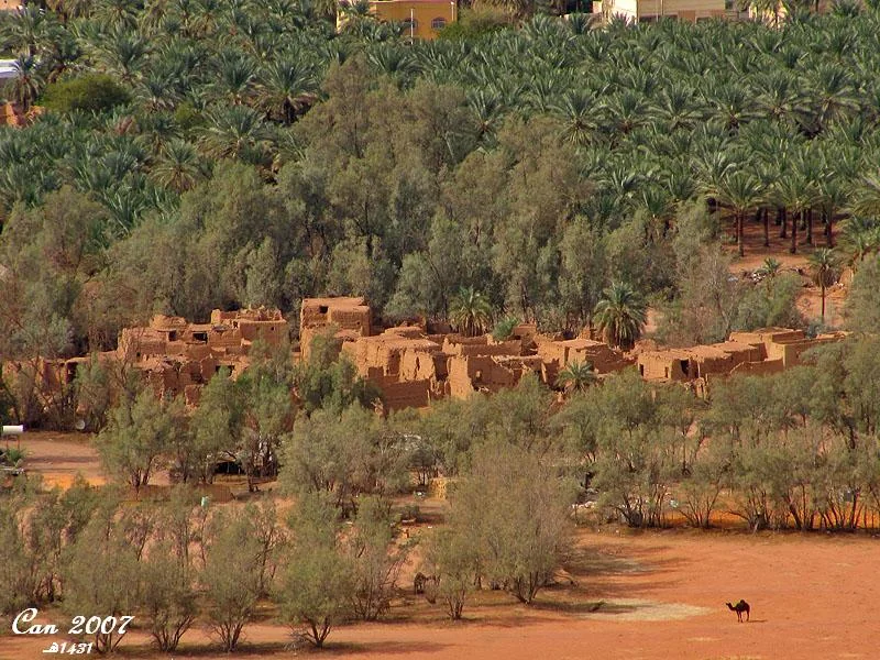 قرية تراثية بين نخيل حائل